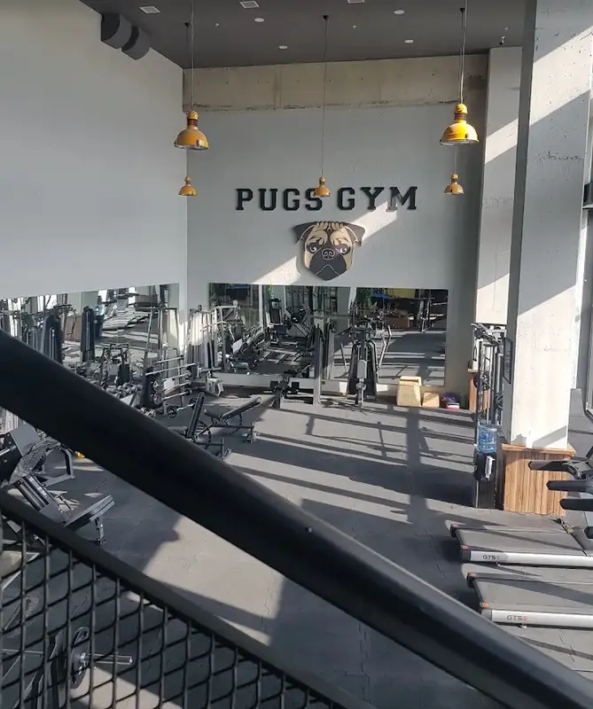 Pugs Gym Çayyolu - Ankara Çankaya