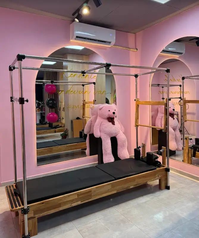 Ayşegül Yalman Tunç Pilates görsel 2