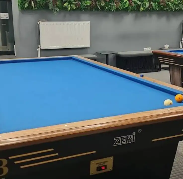 Vienna Bilardo - Konya Karatay