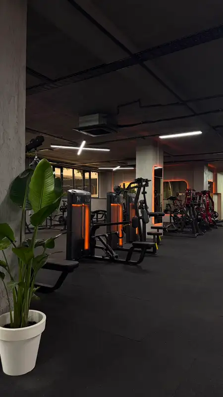 Level Up Gymzone Max görsel 3