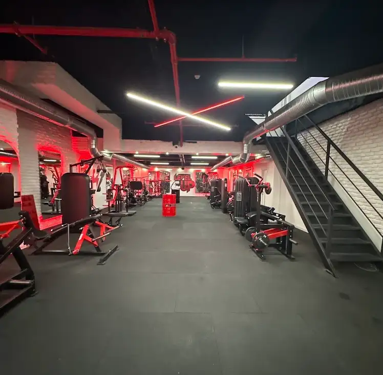 Level Up Gymzone - Kocaeli Körfez