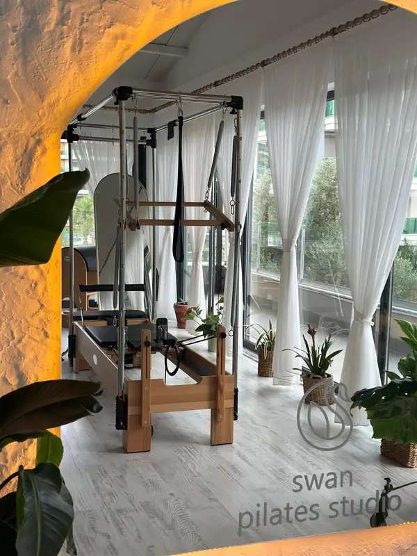 Swan Studio görsel 3