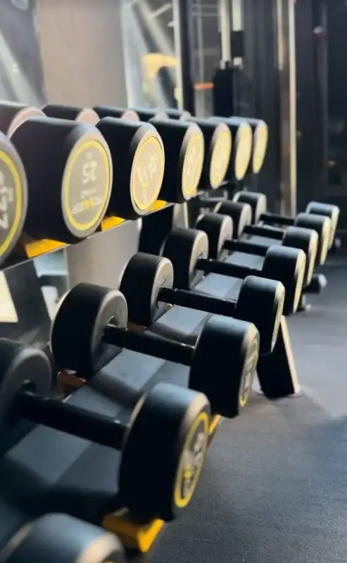 Diamond Gym Denizli - Denizli Denizli Merkez