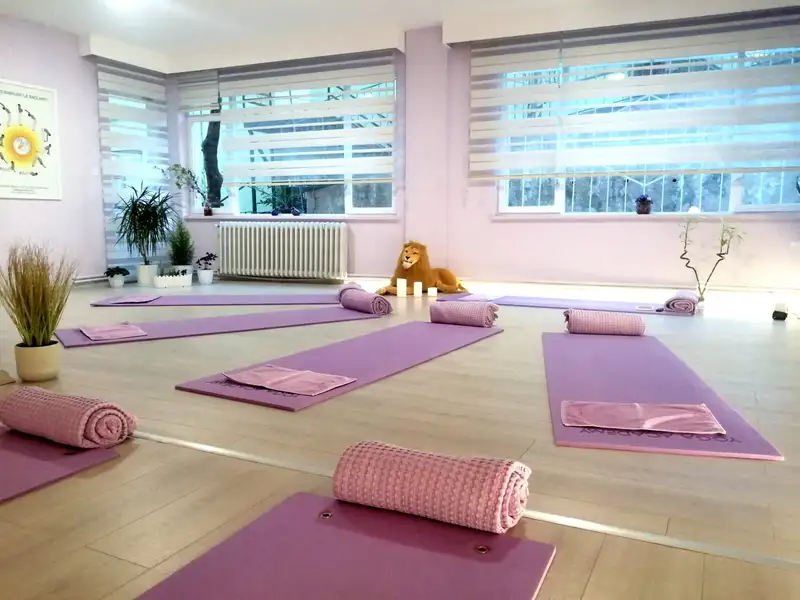 Yoga Academy Bursa - Bursa Osmangazi̇