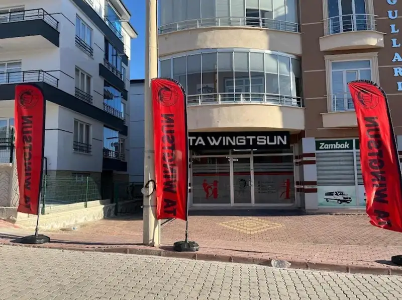 TA WingTsun Sancak görsel 3