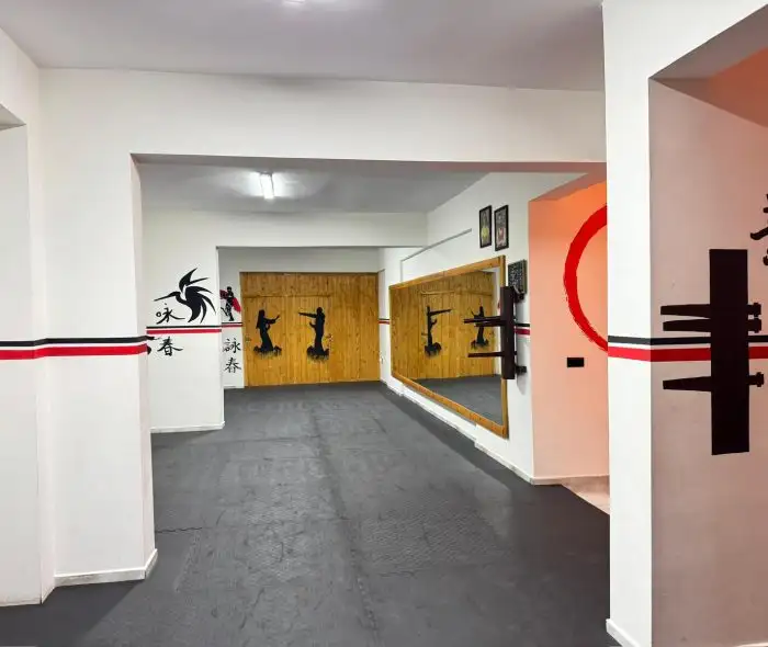 TA WingTsun Kayseri Anayurt görsel 3
