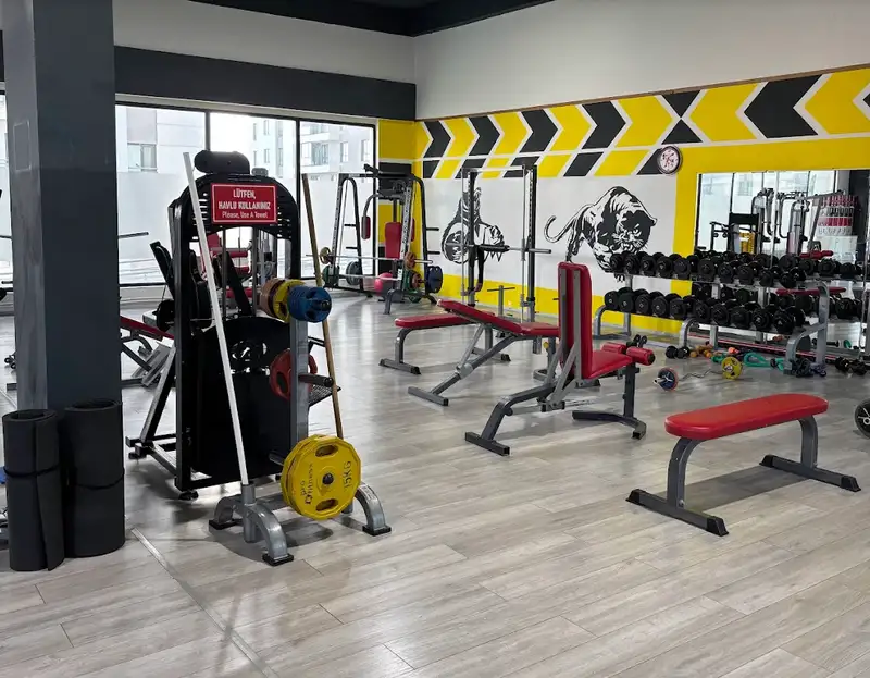 Efe Gym Spor Kulübü görsel 2