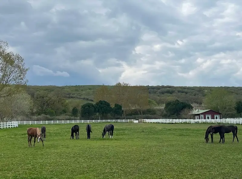 Olimpos Çiftliği görsel 2