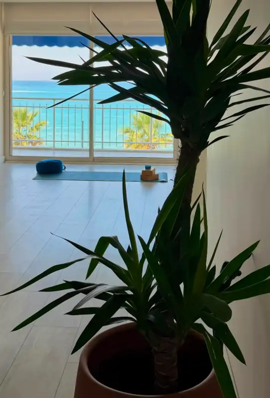 Club Mediterranean Kuşadası görsel 3