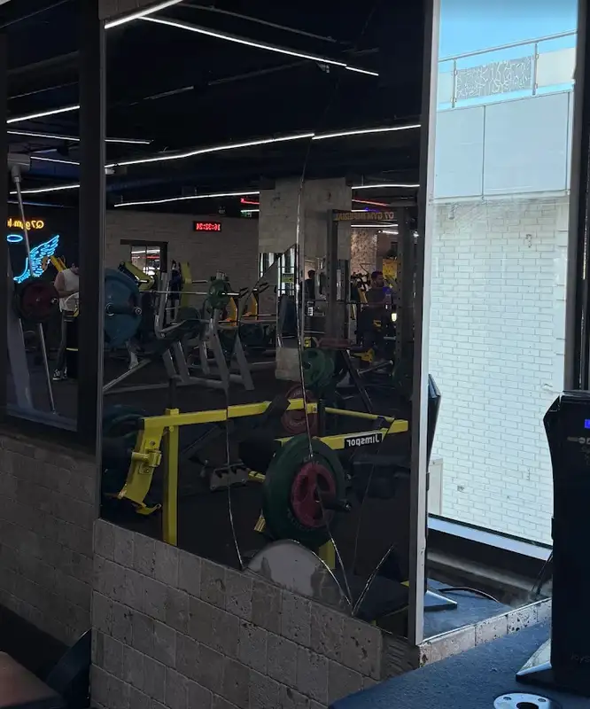 Q7 Gym Imperial görsel 2