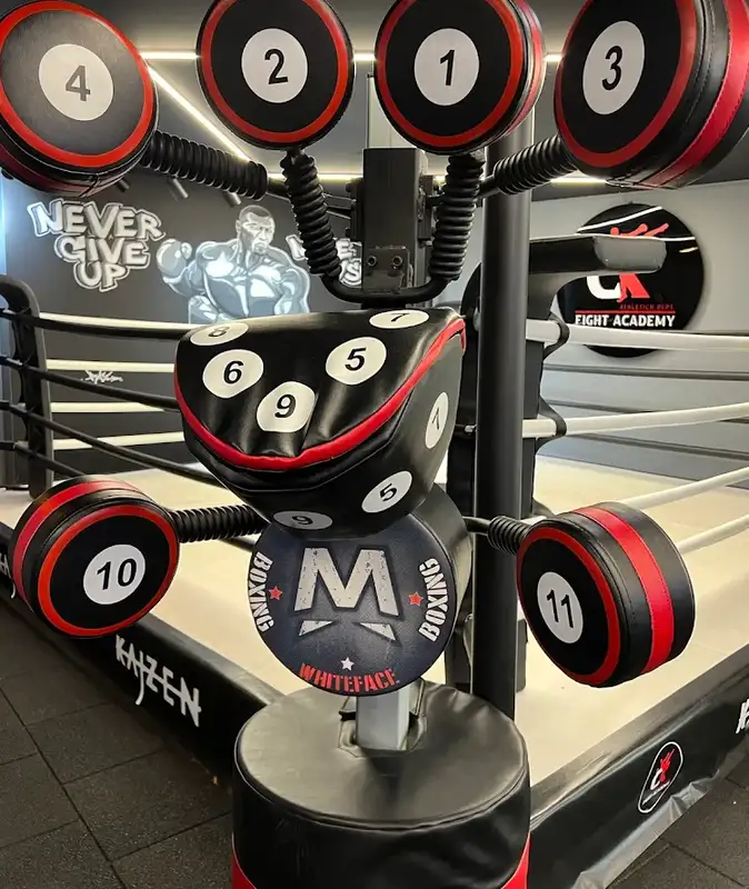 CK Fight Academy - İstanbul Maltepe